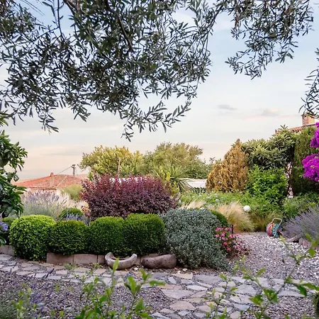 Appart hôtel Begonvilla Evleri *