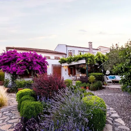 Begonvilla Evleri * Ayvalı