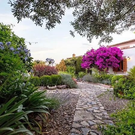 Appart hôtel Begonvilla Evleri Ayvalı