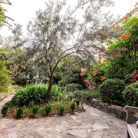 Appart hôtel Begonvilla Evleri