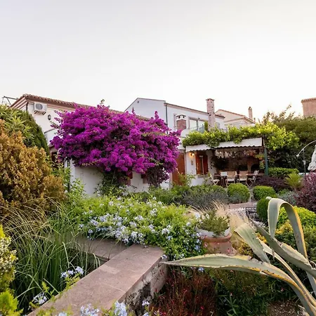Appart hôtel Begonvilla Evleri *