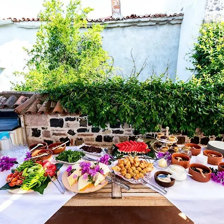 Appart hôtel Begonvilla Evleri *