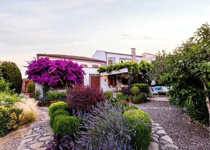 Begonvilla Evleri * Ayvalik