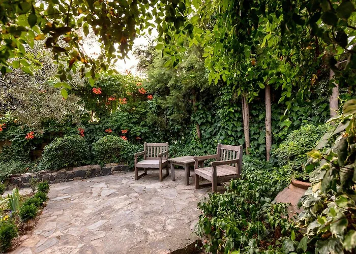 Begonvilla Evleri Ayvalik